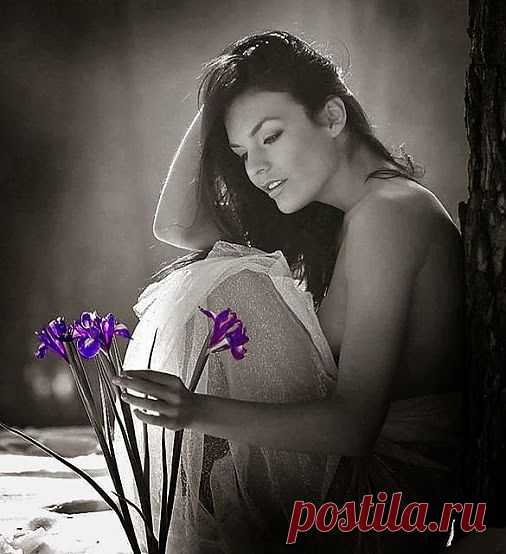 Inna Sh – Google+ - У сильных леди души не болят, Они, черствеют, бронзой…