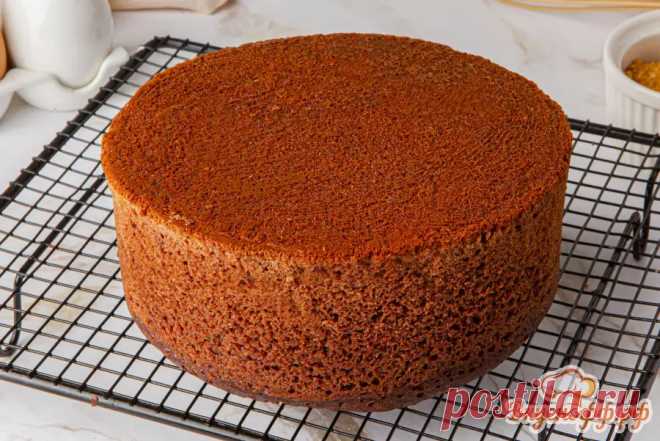 Пышный бисквит на кефире, пошаговый рецепт с фото - Вкуснофф.рф 
Пшеничная мука300 г
Кефир220 мл
Сахар200 г
Подсолнечное масло80 мл
Куриные яйца3 шт.
Какао-порошок1 ст. л.
Разрыхлитель1 ч. л.
Пищевая сода1/2 ч. л.
Соль1/2 ч. л.
Сливочное масло