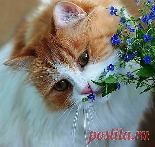 хх