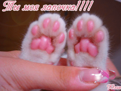 h-990.jpg (500×375)