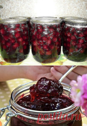 ВИШНЯ в ЖЕЛЕ