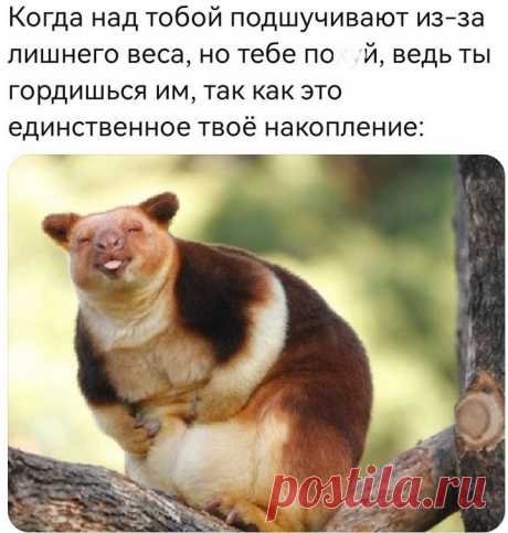 ,