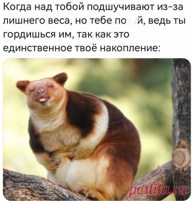 ,