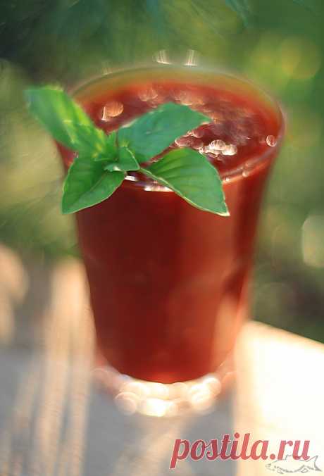 Базилико — томатный соус с базиликом