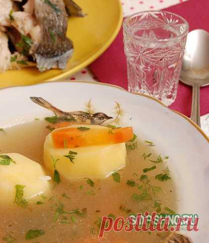 Горяченькая домашняя ушица или, как её ещё называют, юшка, наваристая, с карпом, да с запахом костра, будет как раз кстати. А где же развести костёр? А он и не нужен будет, есть один маленький секрет, какой, узнаете далее из рецепта.