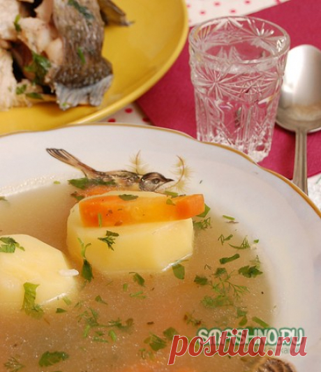 Горяченькая домашняя ушица или, как её ещё называют, юшка, наваристая, с карпом, да с запахом костра, будет как раз кстати. А где же развести костёр? А он и не нужен будет, есть один маленький секрет, какой, узнаете далее из рецепта.