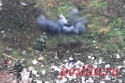 Поросенок спас российских штурмовиков в зоне СВО