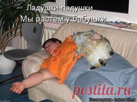Подборка Котоматриц