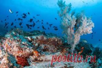 (25) Facebook
