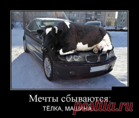 Демотиваторы на пятницу (30 фото)