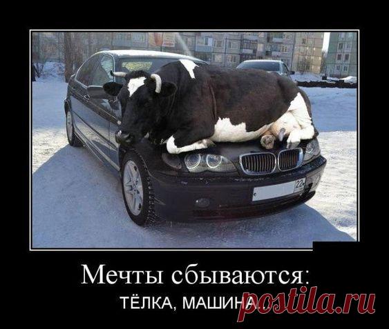 Демотиваторы на пятницу (30 фото)