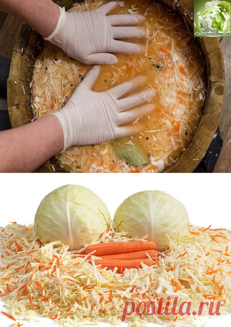 Одноклассники