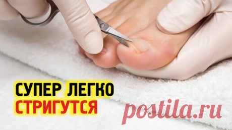 Статьи, новости и видео от популярных блогеров и СМИ | Будь в теме — будь в Дзене