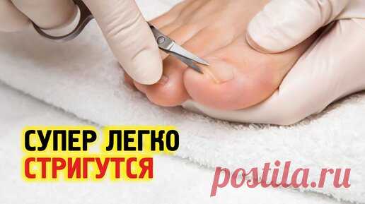 Статьи, новости и видео от популярных блогеров и СМИ | Будь в теме — будь в Дзене