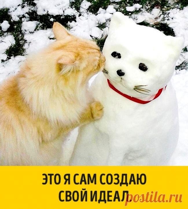 15 животных, которые ждут Нового года, совсем как мы