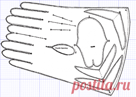 Выкройка перчаток | Здоровье, быт, увлечения, отношения