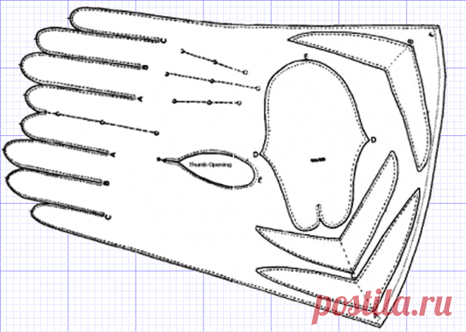 Выкройка перчаток | Здоровье, быт, увлечения, отношения