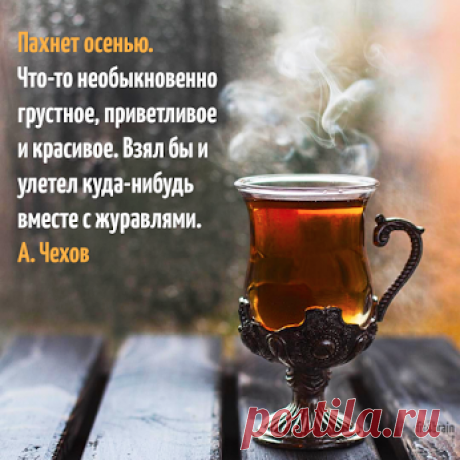 Чехов https://to-name.ru/biography/anton-chehov.htm