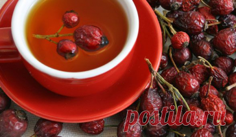 Kak-prigotovit-otvar.jpg (588×343)