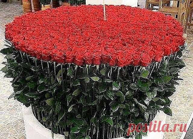 (80) Одноклассники