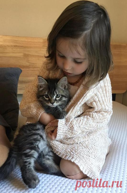 Котики и дети