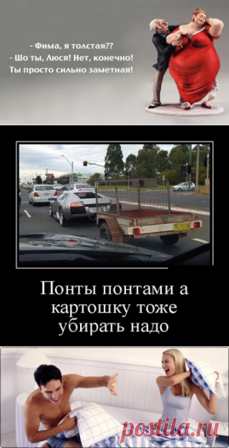 BKVL Развлекательный Портал