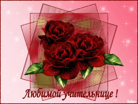 Спасибо вам, учитель мой! С праздником!