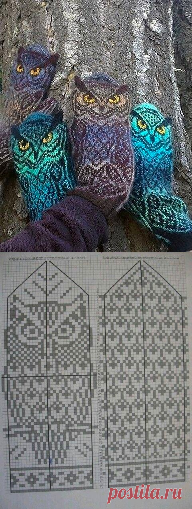 Варежки с совами