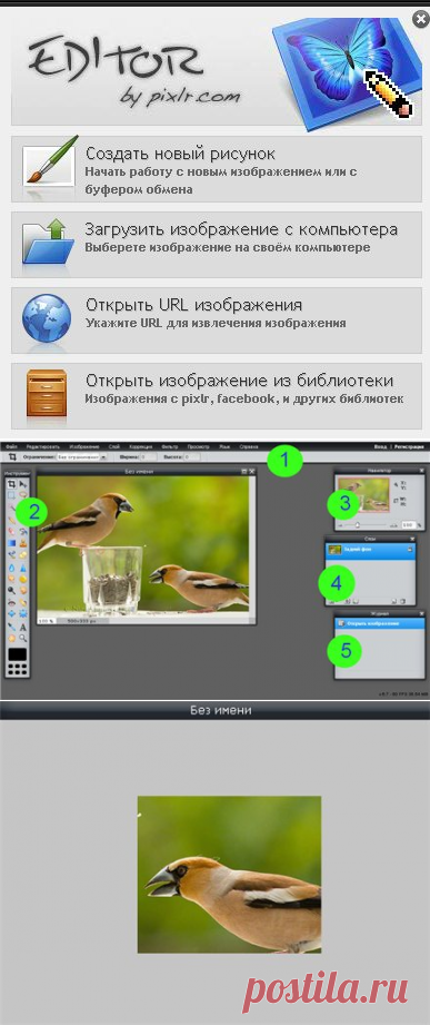 Работаем в Pixlr Editor.-1 урок