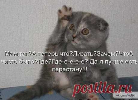 ....урок)))