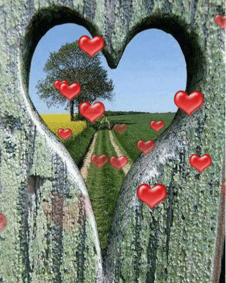 (92) Pinterest - Анимация Из летнего пейзажа за деревянным забором, через отверстие в виде сердца, летят красные сердечки, гифка Из летнего пейзажа за | Природа
