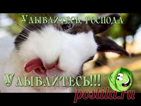 День смеха | 1 Апреля. Улыбайтесь:))) - YouTube