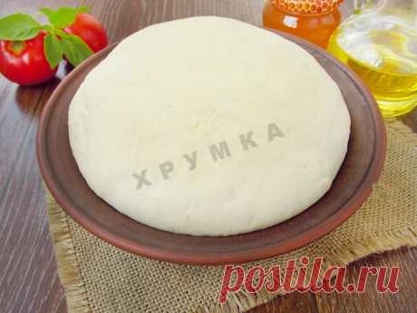 Тесто для пиццы от Вольфганга Пака и 15 похожих рецептов: пошаговые фото, калорийность, отзывы