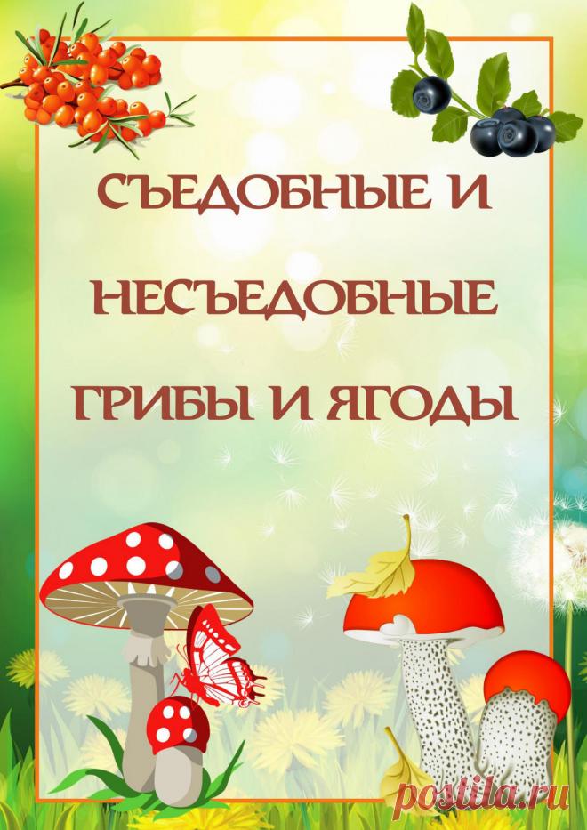 Съедобные и несъедобные грибы и ягоды