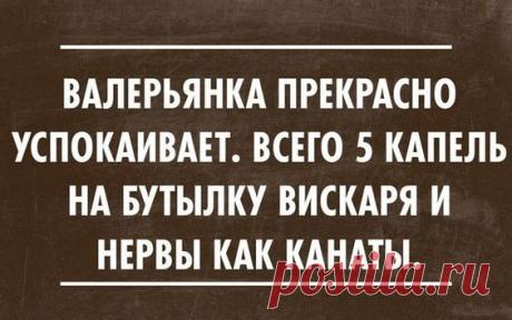 Картинки с юмором: прикольные надписи и фразы | В темпі життя