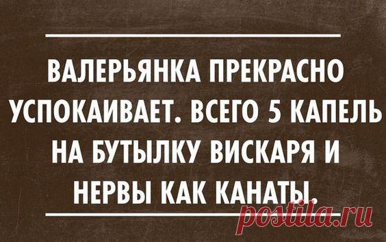 Картинки с юмором: прикольные надписи и фразы | В темпі життя