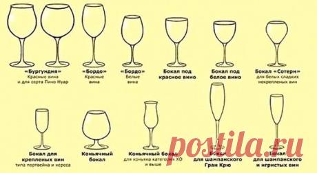 Хозяюшка. Кушать подано! - Какой бокал для какого вина подходит