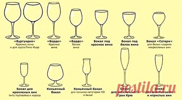 Хозяюшка. Кушать подано! - Какой бокал для какого вина подходит