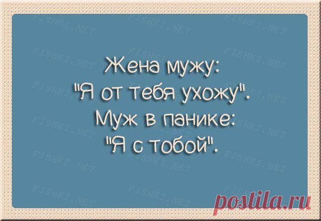 Меткие шутки о том, как проходит семейная жизнь