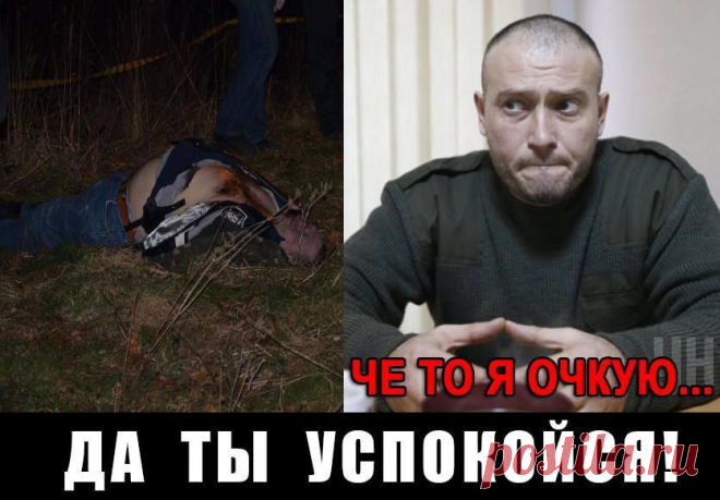 встретился с Дмитрием Ярошем, прибывшим с визитом по приглашению сенатора Маккейна | США - нашими глазами