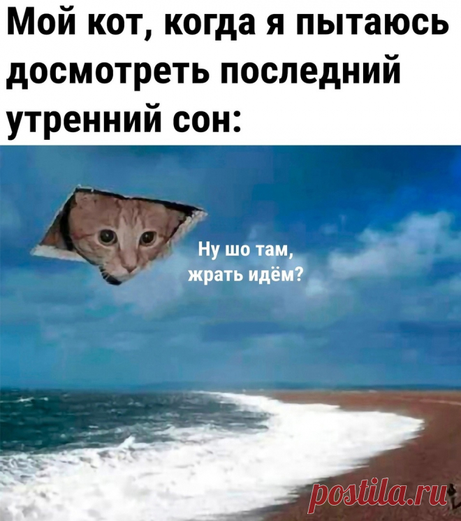 Лучшие мемы за сентябрь 2022 - Смешные фото и анекдоты