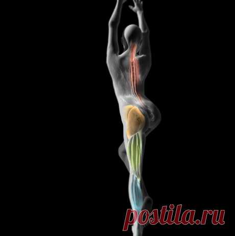 Причины варикозного расширения вен у женщин, о которых умалчивает