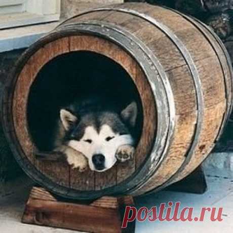 Мой сад - мир идей