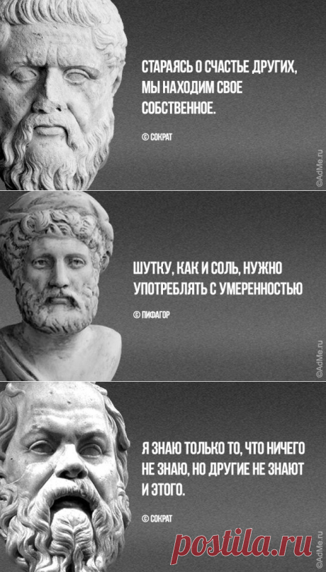 Эллинская мудрость на каждый день / Научный хит