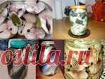 Самые лучшие рецепты засолки скумбрии, сельди, мойвы