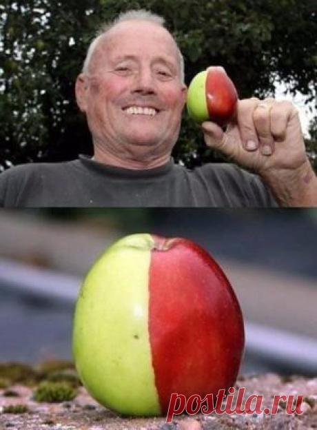 Лента по интересам. Знакомства на Tabor.ru