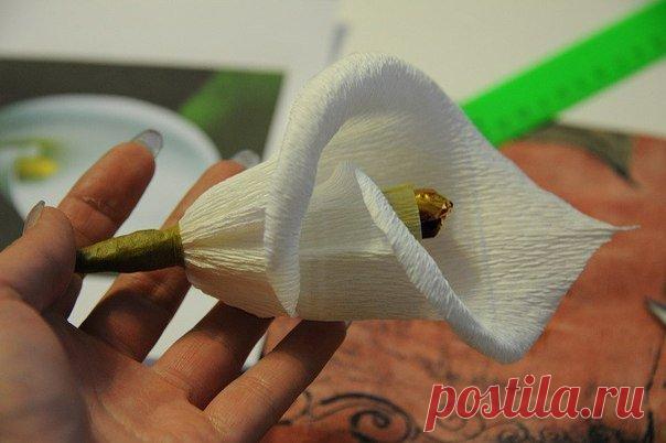 Как сделать каллу из конфет