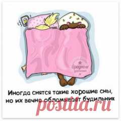 Фразы с картинками / Приколы