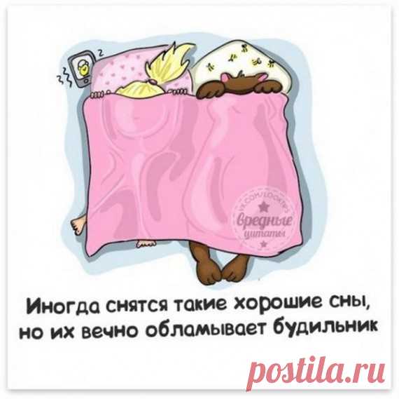 Фразы с картинками / Приколы