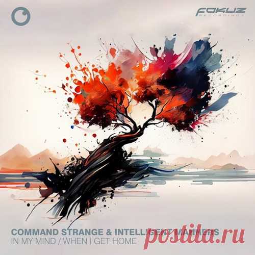Download Intelligent Manners, Command Strange - In My Mind / When I Get Home download Intelligent Manners, Command Strange - In My Mind (Original Mix) 3: Manners, Command Strange - When I Get Home (Original Mix) 4:56